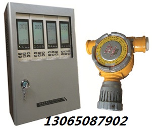 SNK6000氟化氢报警器/氟化氢检测仪